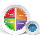 Bariatric Dinnerware