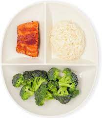 Bariatric Plate
