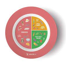 Bariatric Portion Control Dishes