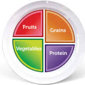 Bariatric Plates And Bowls